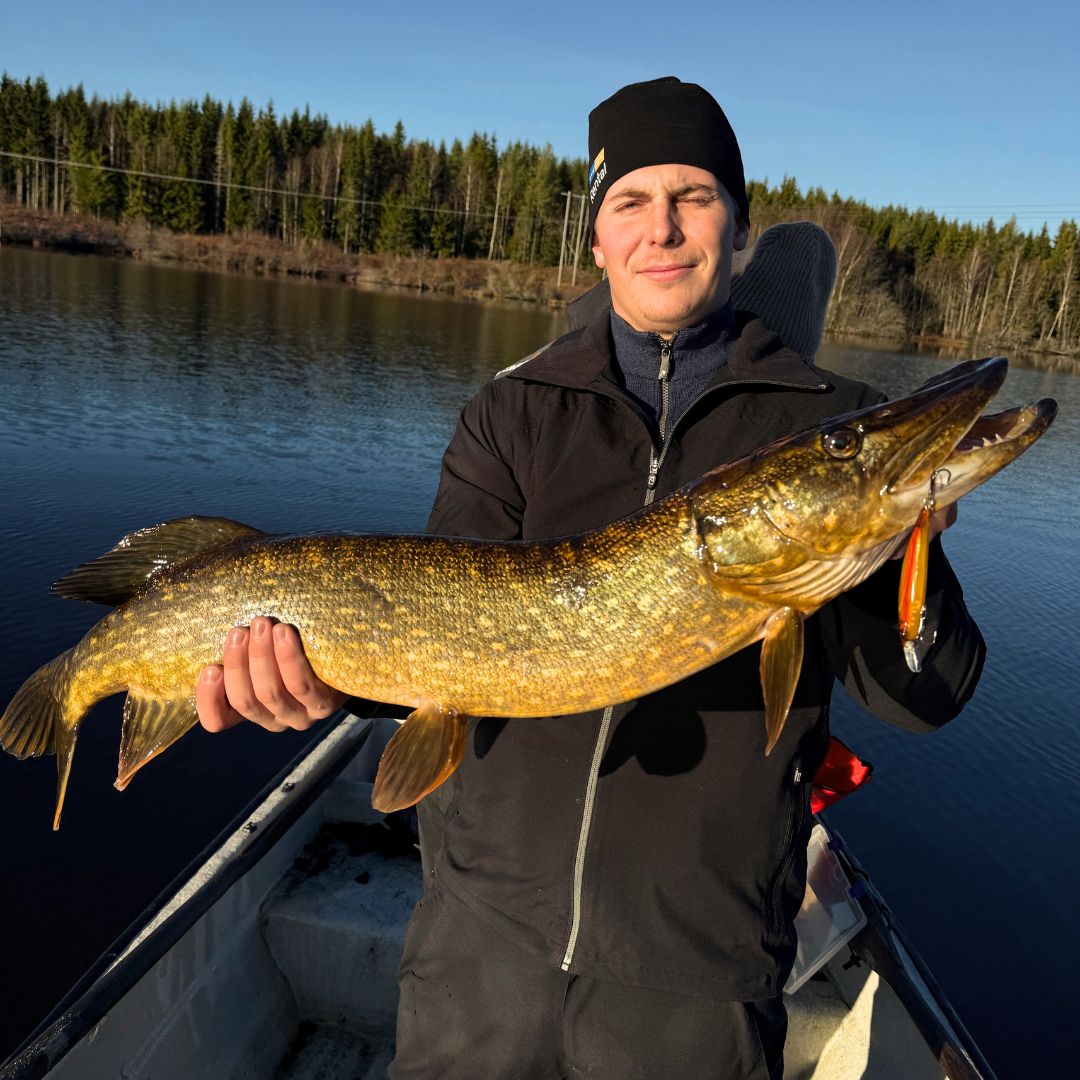 Gädda 5kg